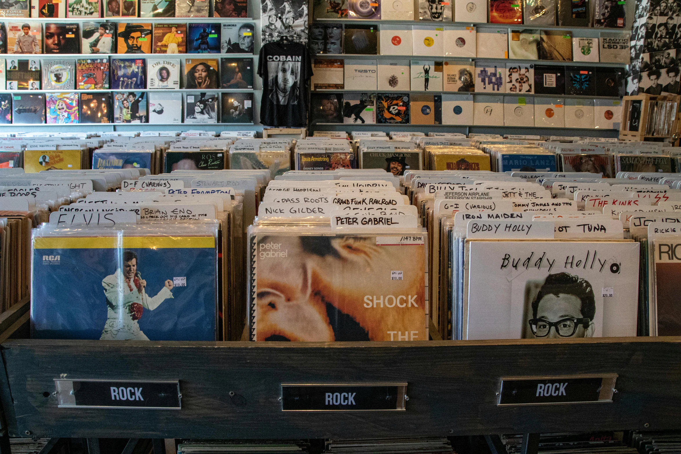 a record store filled with lots of records, an album cover, unsplash, fan favorite, subtle detailing, rock n roll, 2000s photo