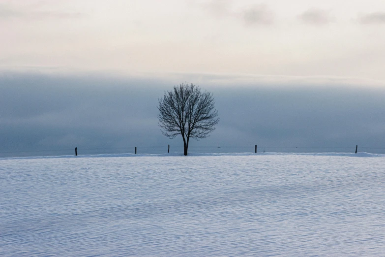 a lone tree in the middle of a snow covered field, pexels contest winner, postminimalism, photo of zurich, solitude seen in the distance, album, landscape 4k