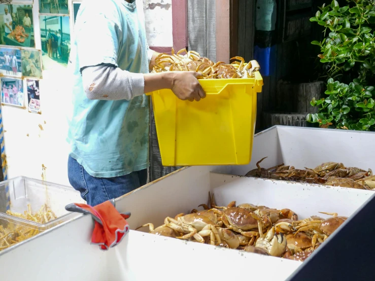 a man that is standing in front of a box of food, crabs, walking down, food