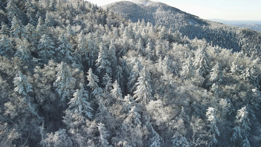 a forest filled with lots of snow covered trees, a photo, inspired by LeConte Stewart, unsplash contest winner, land art, “ aerial view of a mountain, glittering ice, 2000s photo, appalachian mountains