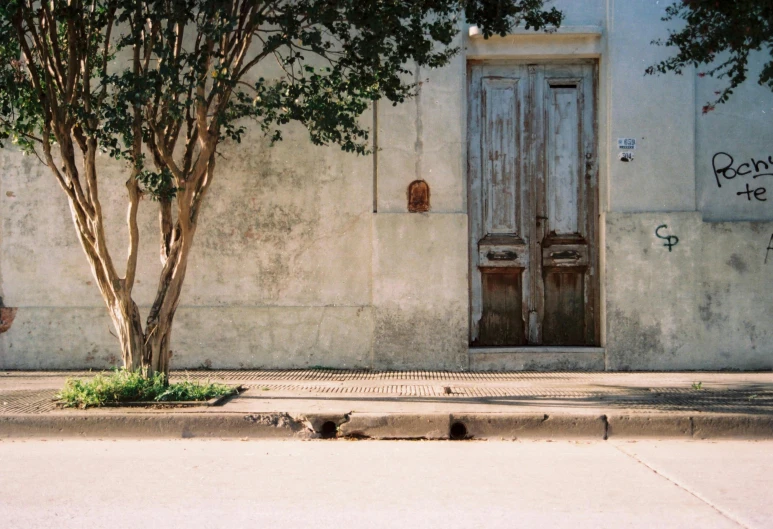 a fire hydrant sitting on the side of a road next to a tree, by Elsa Bleda, pexels contest winner, postminimalism, wood door, buenos aires, 1840, french village exterior