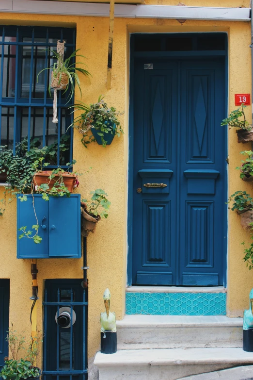 a blue door sitting on the side of a yellow building, pexels contest winner, art nouveau, pots with plants, istanbul, profile image