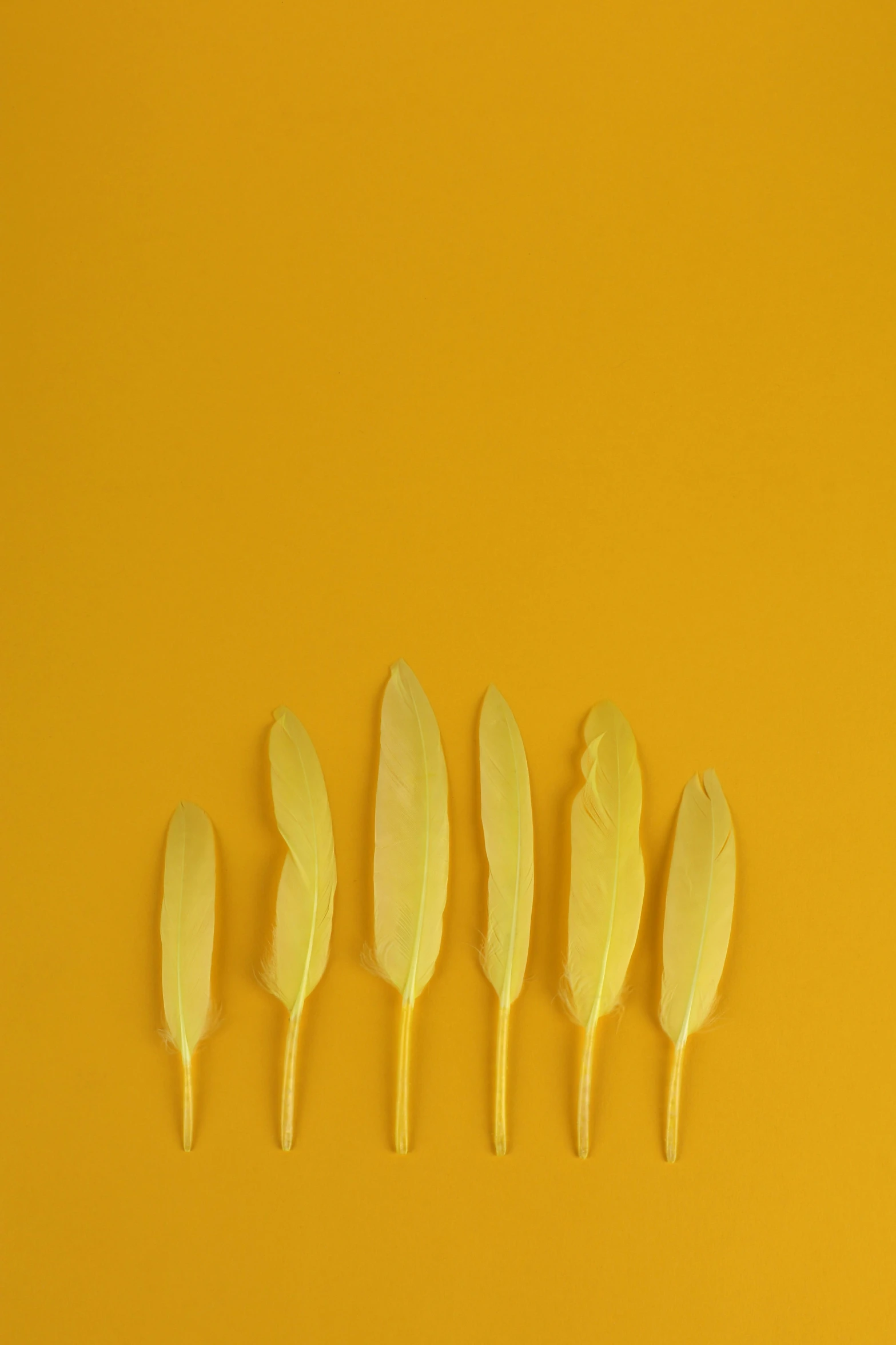 a group of wooden spoons sitting on top of a yellow surface, a minimalist painting, trending on pexels, conceptual art, made of feathers, avatar image, corn, yellow-orange