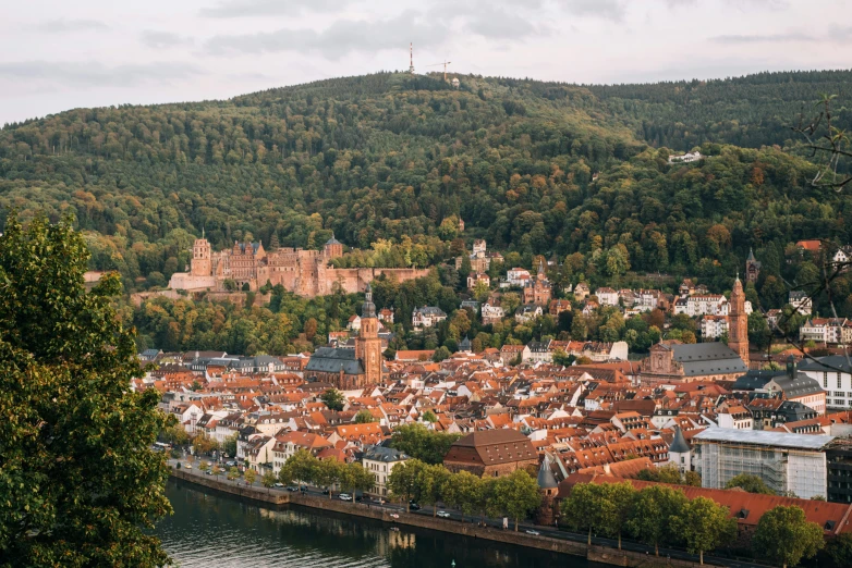 a view of a town from the top of a hill, by Tobias Stimmer, pexels contest winner, renaissance, building along a river, red peaks in the background, slightly pixelated, streets of heidelberg