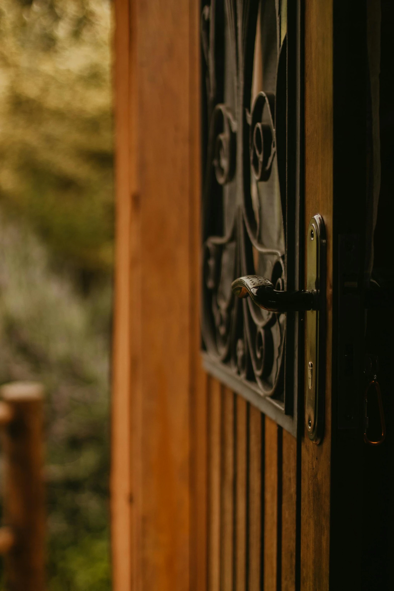 a close up of a wooden door on a building, a picture, by Jan Tengnagel, unsplash, lush garden surroundings, evening light, wrought iron, cabin