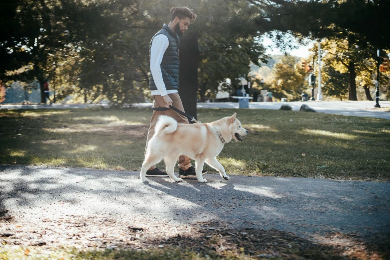 a man riding a skateboard next to a dog, by Julia Pishtar, walking at the park, shiba inu, cinematic image, caucasian