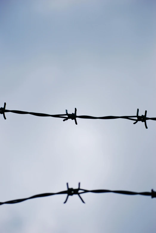 a barbed wire fence with the sky in the background, by Steve Brodner, minimalism, digital photo, ap news photo, 15081959 21121991 01012000 4k, ilustration