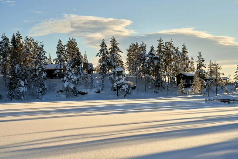 a snow covered field with trees in the background, inspired by Einar Hakonarson, pexels contest winner, hurufiyya, lake house, big shadows, panoramic shot, pine trees in the background