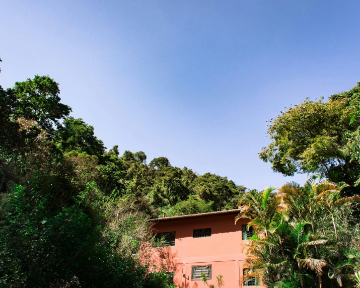 a house sitting on top of a lush green hillside, a portrait, inspired by Carlos Francisco Chang Marín, unsplash, modernism, rio de janeiro, terracotta, exotic trees, high light on the left