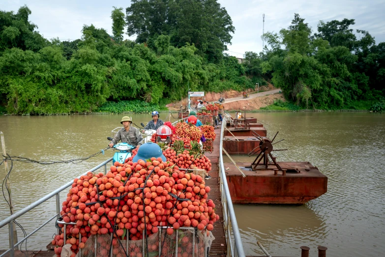 a group of people loading fruit onto a boat, inspired by Steve McCurry, red river, slide show, tomatoes, maintenance photo