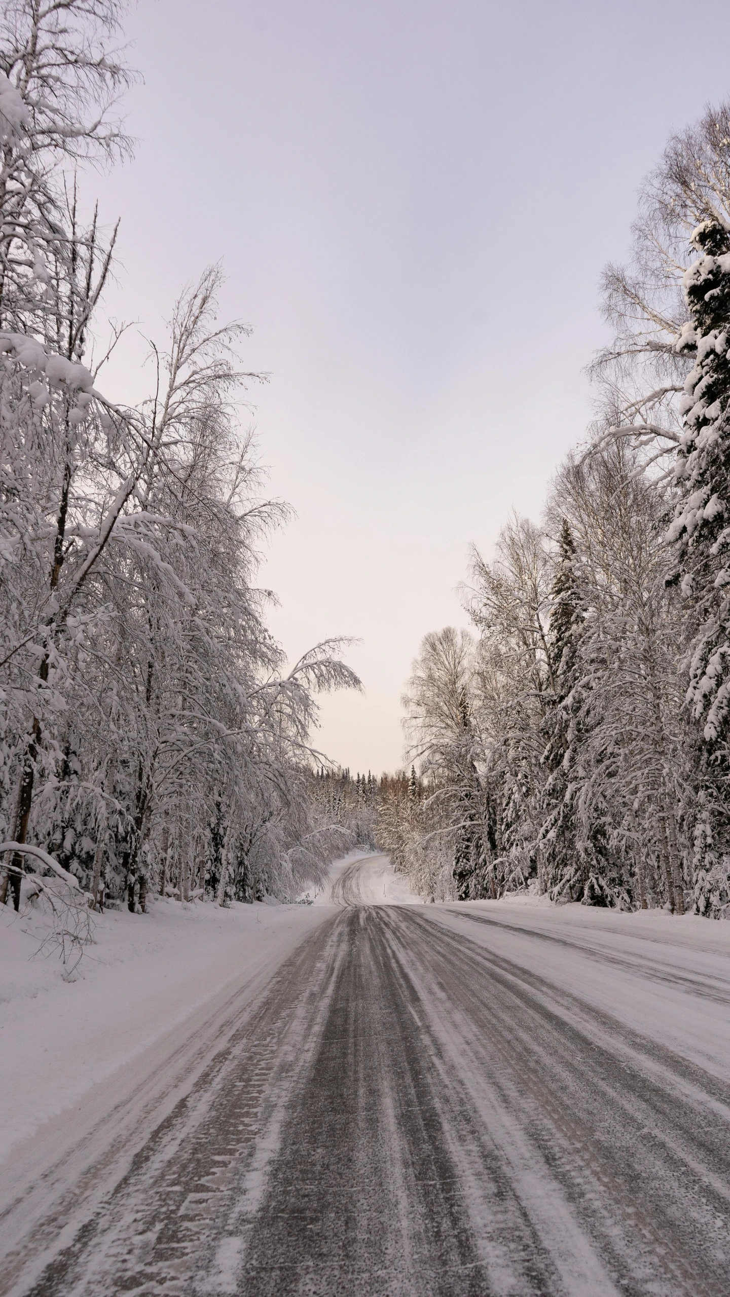 a snow covered road in the middle of a forest, on a road