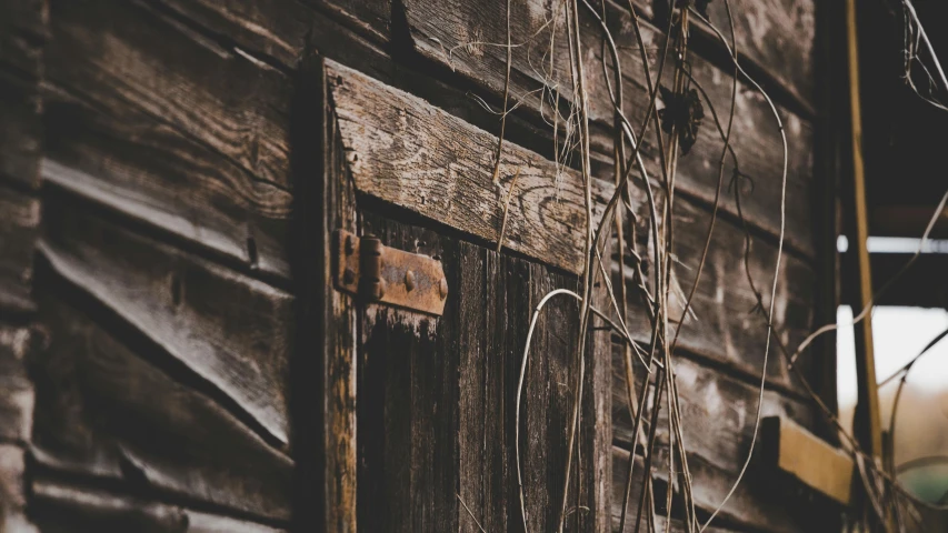 a close up of a wooden door on a building, an album cover, by Adam Szentpétery, unsplash, renaissance, vines and thorns, background image, rugged and dirty, dark. no text