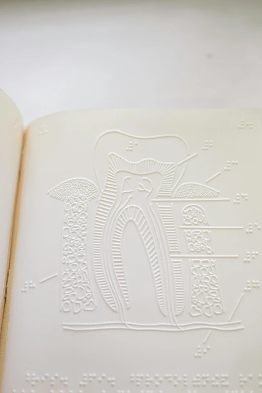 an open book sitting on top of a table, an etching, unsplash, ascii art, high detail teeth, porcelain organic tissue, embossed, 1 9 6 7