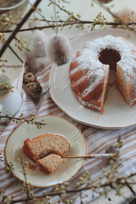 a bundt cake sitting on top of a white plate, a still life, inspired by Károly Patkó, unsplash, powdered sugar, bird, blond, easter