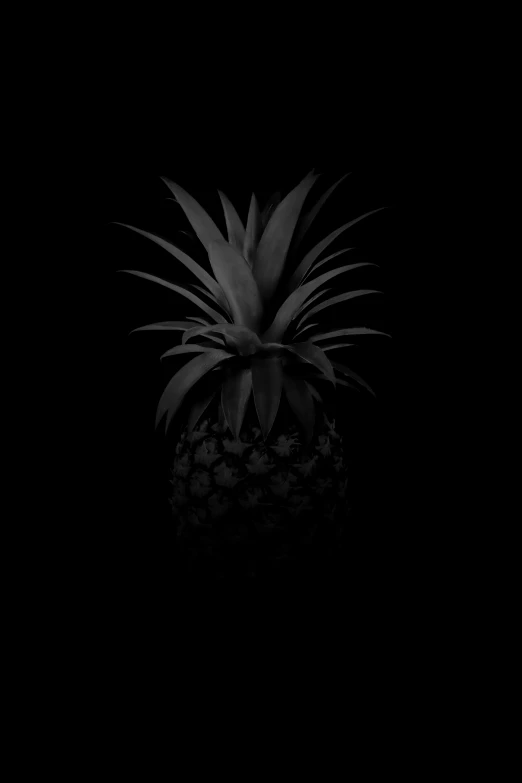 a black and white photo of a pineapple, a black and white photo, by Adam Pijnacker, dark ambient album cover, ffffound, 2 5 6 x 2 5 6, nicolas delort