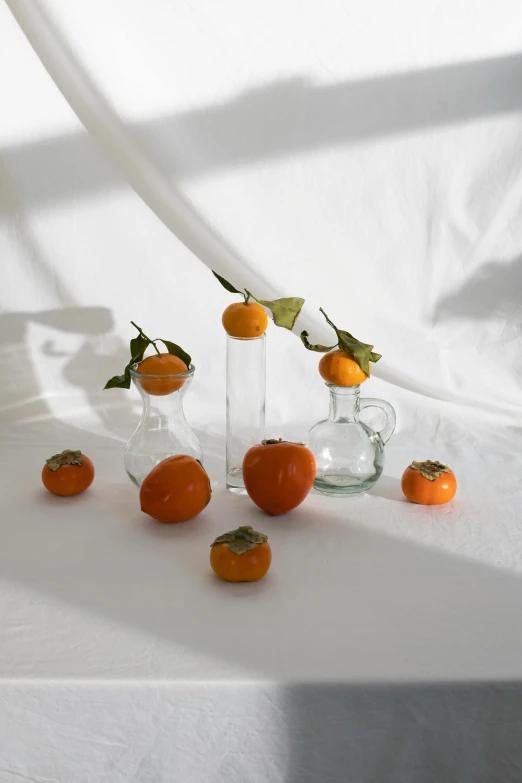 a bunch of oranges sitting on top of a table, a still life, by Rebecca Horn, unsplash, vases and bottles, tomatoes, on clear background, japanese collection product