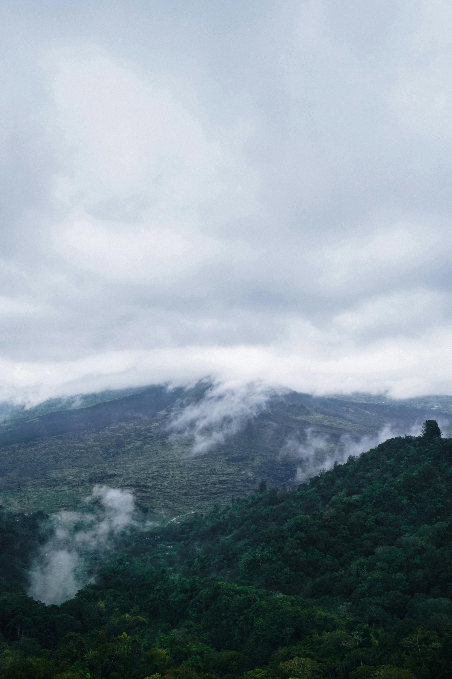 a view of the mountains from the top of a hill, hurufiyya, fog rolling in, mountainous jungle setting, grey, an eerie