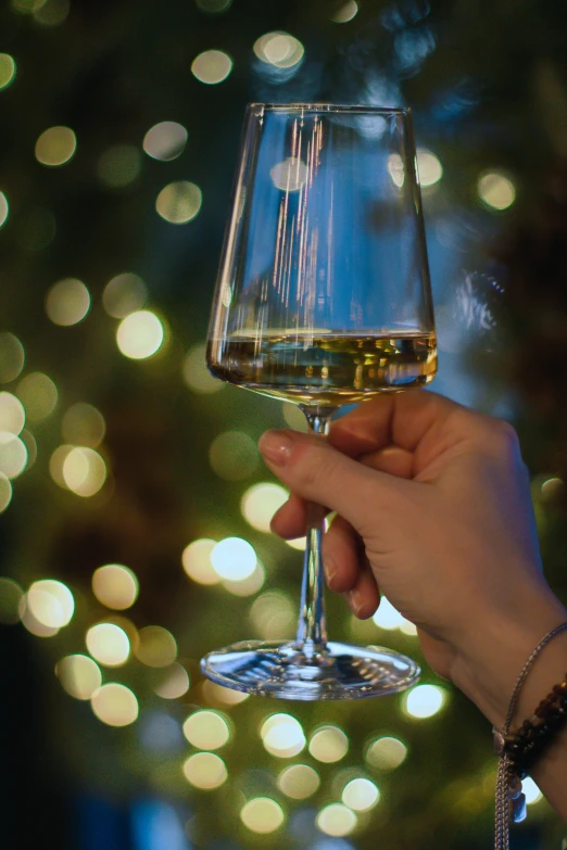 a person holding a wine glass in front of a christmas tree, by Jan Rustem, pexels, whisky, bokeh intricate details, promo image, wining