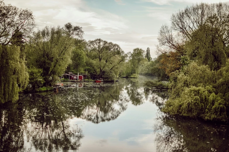 a river running through a lush green forest filled with trees, inspired by John Constable, pexels contest winner, visual art, river stour in canterbury, lake reflection, urban surroundings, grey