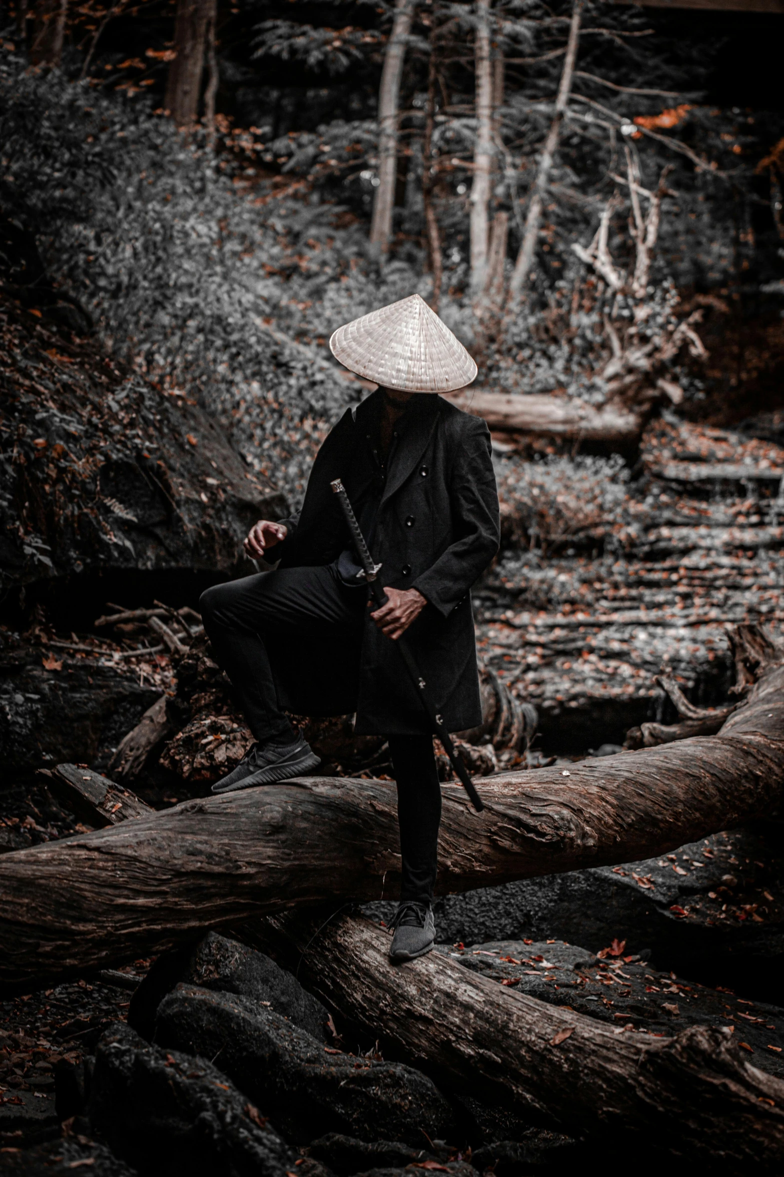 a person sitting on a log in the woods, inspired by Kanō Hōgai, sumatraism, black pointed hat, urban samurai, 2019 trending photo, unsplash photo contest winner