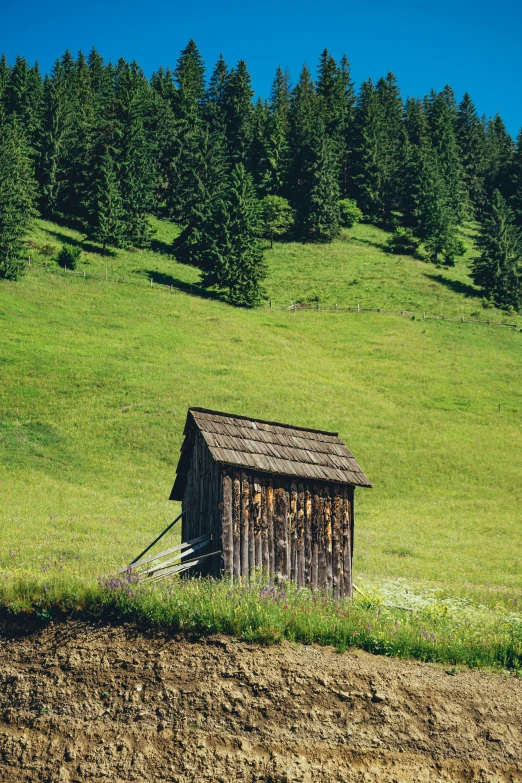 a small wooden shack sitting on top of a lush green hillside, by Franz Hegi, pexels contest winner, renaissance, toilet, alessio albi, vintage photo, multiple stories