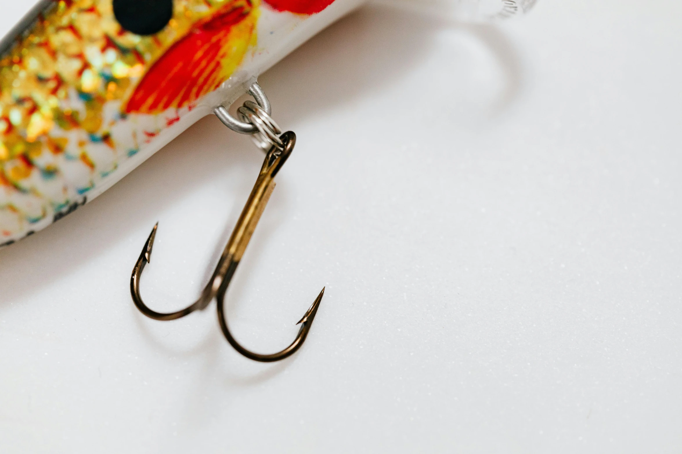 a close up of a fish on a fishing hook, an album cover, trending on pexels, on a white table, detail shot, fish hooks, miscellaneous objects