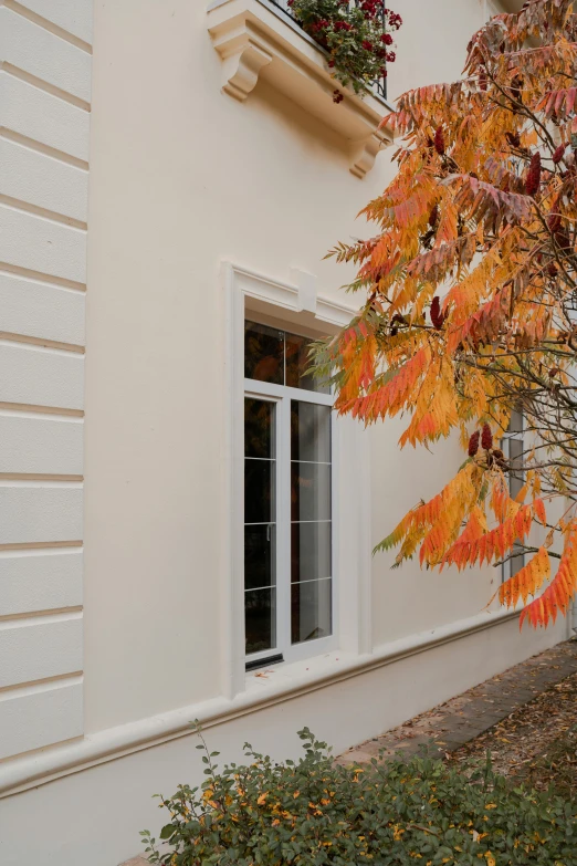 a red fire hydrant sitting in front of a white building, inspired by Albert Paris Gütersloh, art nouveau, autumn colour oak trees, bay window, light - brown wall, coper cladding