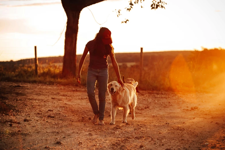 a woman walking a dog down a dirt road, during a sunset, profile image