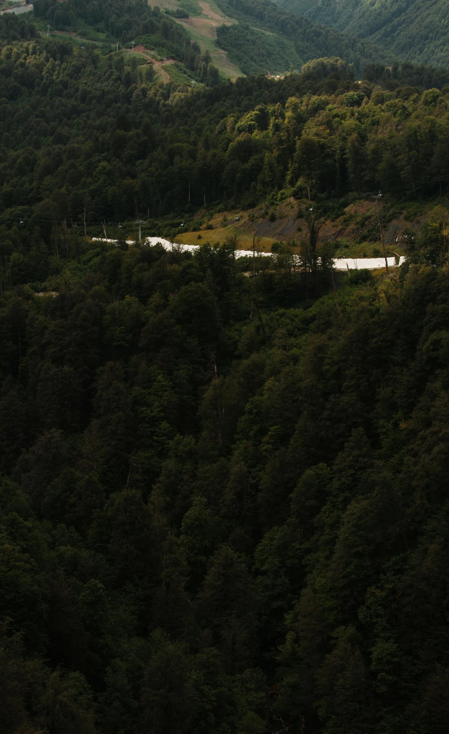 a train traveling through a lush green forest, a matte painting, inspired by Andreas Gursky, hurufiyya, low quality photo, valley, distant - mid - shot, alessio albi