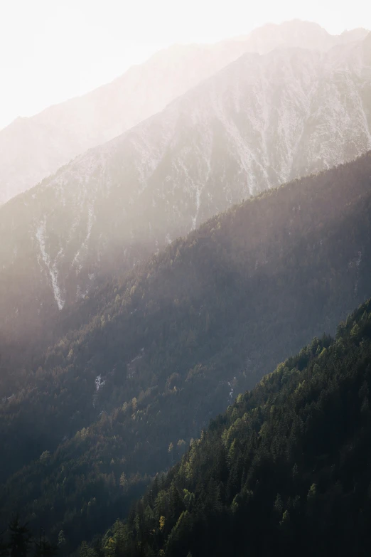 a man flying a kite on top of a lush green hillside, by Peter Churcher, unsplash contest winner, baroque, chamonix, early morning light, spruce trees, texture details