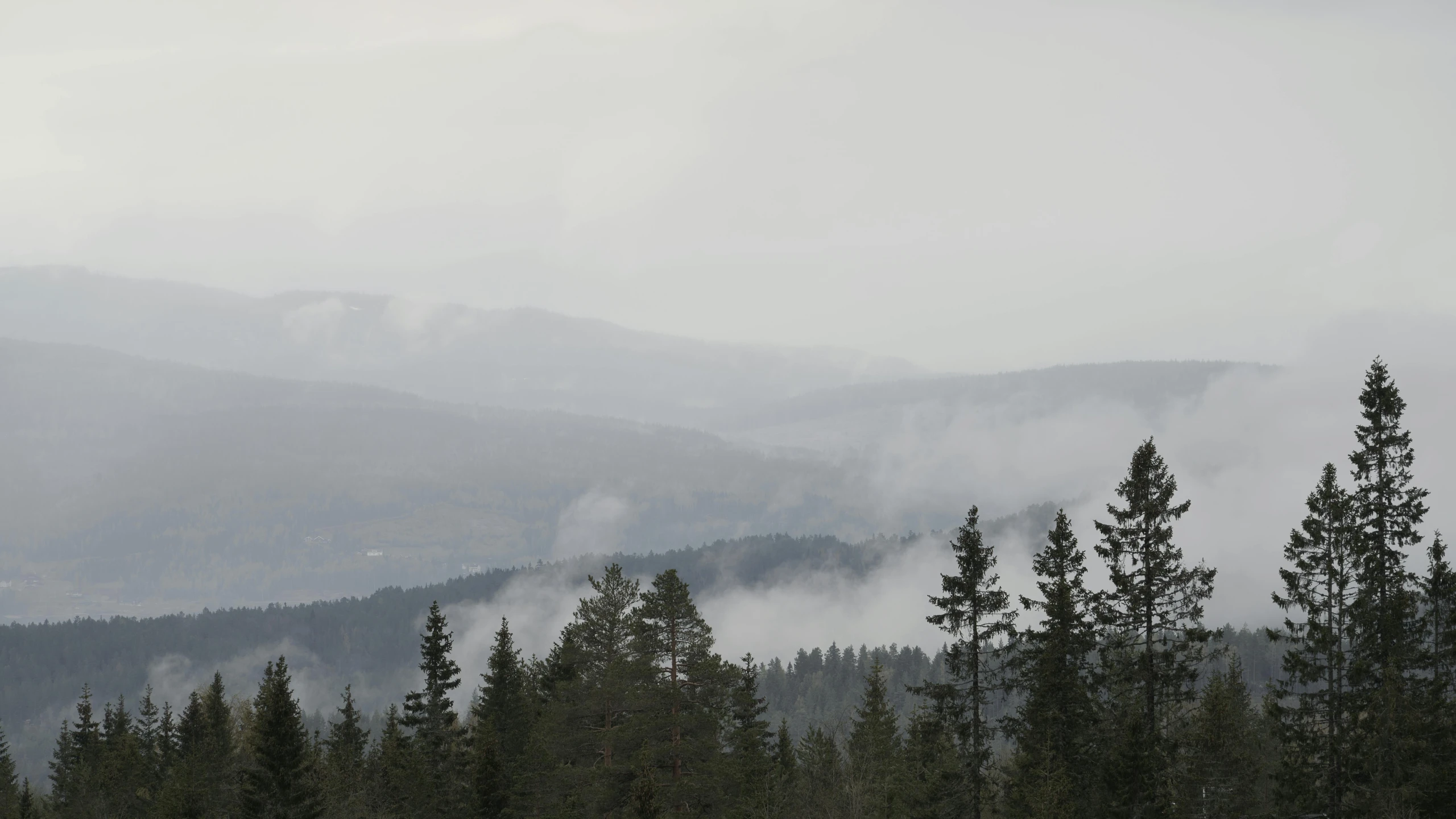 a group of people riding skis on top of a snow covered slope, inspired by Oluf Høst, hurufiyya, dark misty foggy valley, view of forest, grey, viewed from a distance