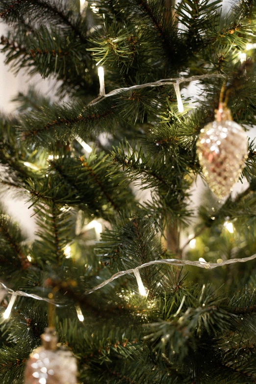 a close up of a christmas tree with ornaments on it, led details, pinecone, dappled silver lighting, clear detailed view