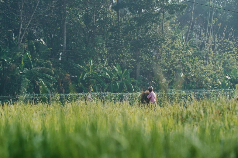 a man riding a horse through a lush green field, by Basuki Abdullah, unsplash, hurufiyya, kerala village, embracing, animation still, from a distance