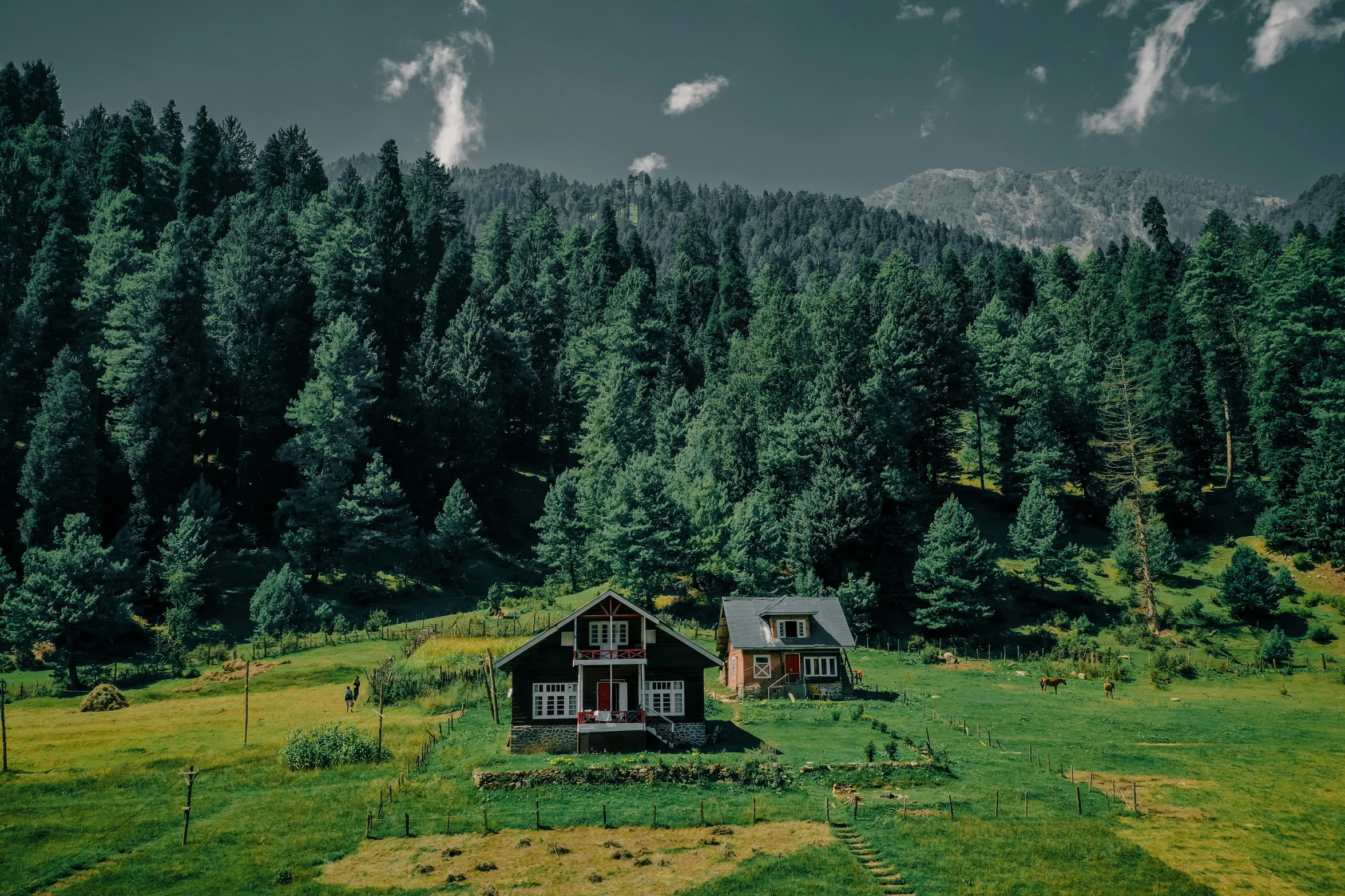 a couple of houses sitting on top of a lush green field, by Julia Pishtar, pexels contest winner, indian forest, alpine architecture, 1940s photo, cottagecore!!