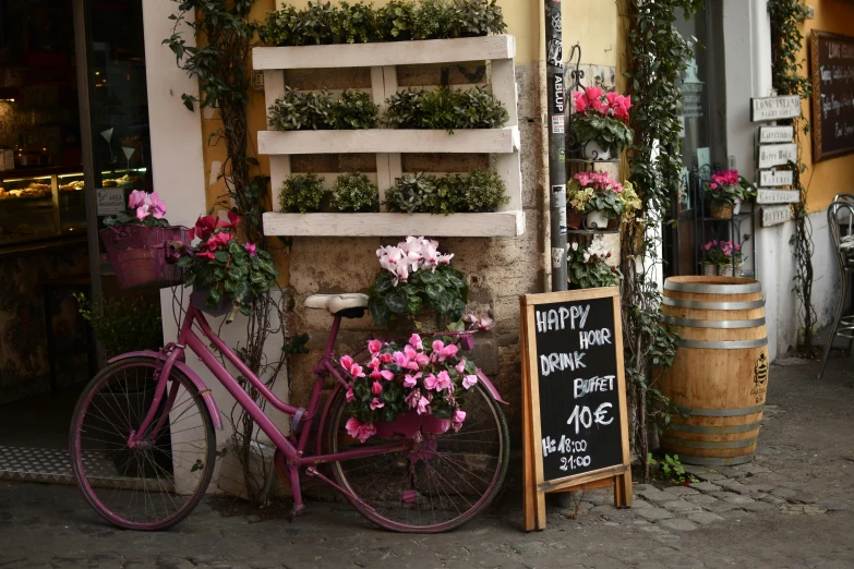 a bicycle parked in front of a flower shop, a photo, pexels contest winner, renaissance, brown and magenta color scheme, local bar, all roads lead to rome, a still of a happy