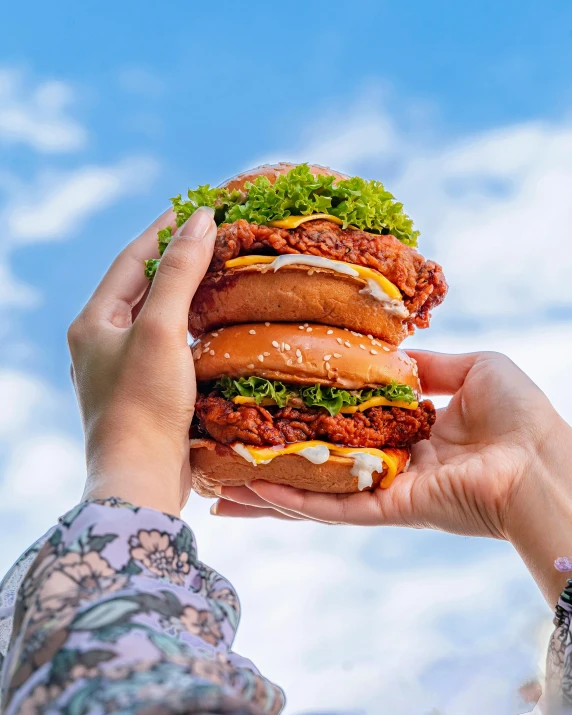 a close up of a person holding a hamburger, fried chicken, 3 layers of sky above each other, al fresco, promo image