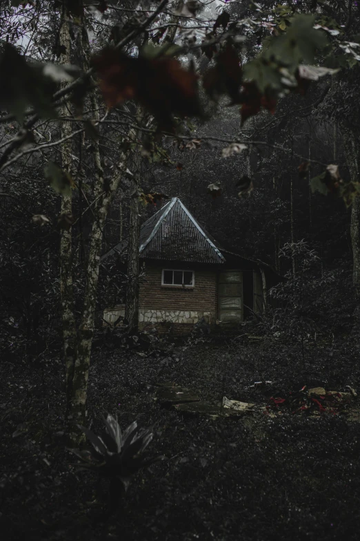 a small house in the middle of a forest, an album cover, by Elsa Bleda, unsplash contest winner, australian tonalism, dark and horrifying, profile image, cottage, brown