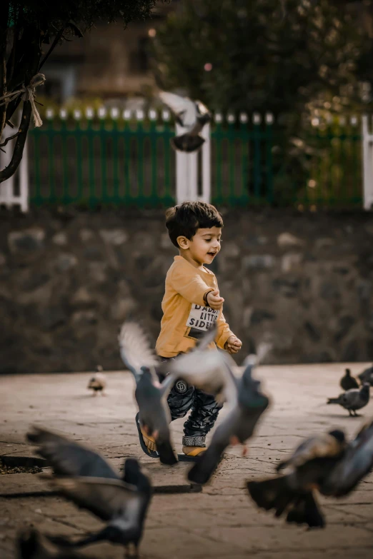 a young boy standing in front of a flock of birds, by Ahmed Yacoubi, pexels contest winner, happening, running towards camera, playful smirk, toddler, gif