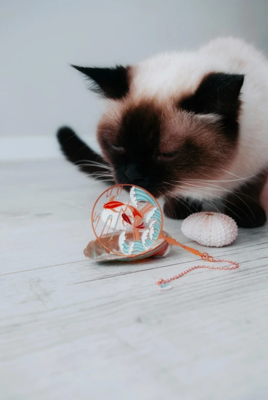 a siamese cat playing with a ball of yarn, by Elaine Hamilton, pexels contest winner, kinetic art, sea shell, copper, foil, indoor shot