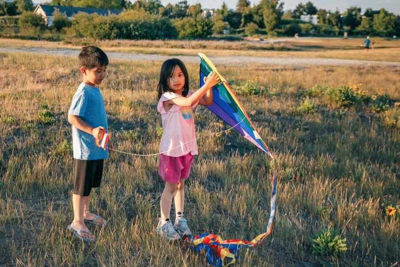 a couple of kids standing in a field with a kite, pexels contest winner, mai anh tran, avatar image, seattle, 15081959 21121991 01012000 4k