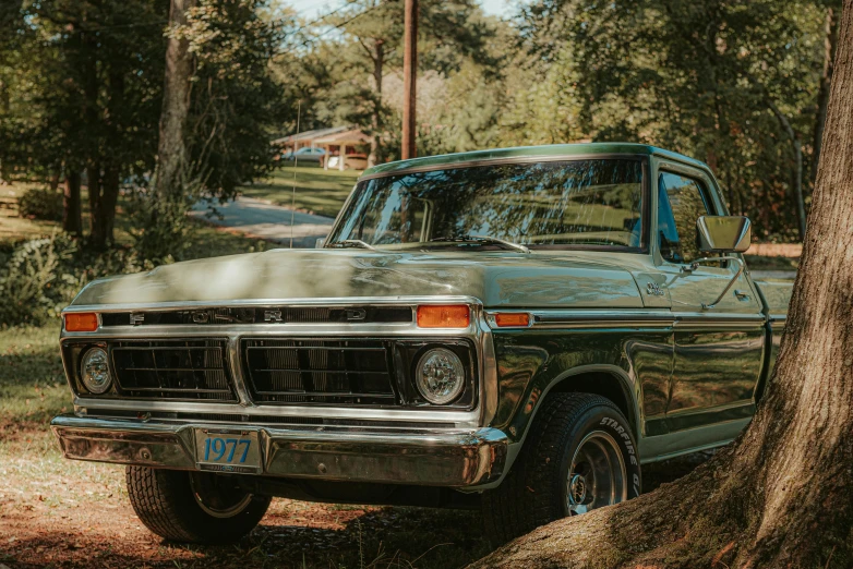 a green pick up truck parked next to a tree, pexels contest winner, photorealism, 70s colors, brown, perfect crisp sunlight, cinematic front lightning