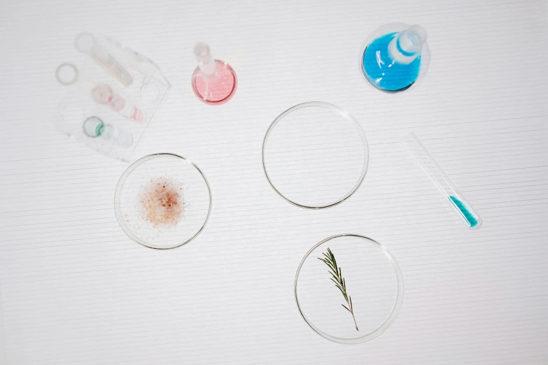 a bunch of things that are sitting on a table, a microscopic photo, inspired by Vija Celmins, trending on pexels, dna experiment, close-up product photo, clear makeup, product view