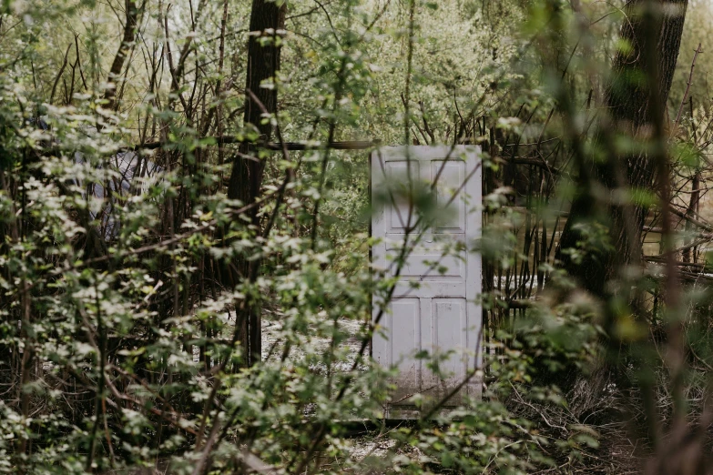 a white door sitting in the middle of a forest, by Emma Andijewska, unsplash, conceptual art, overgrown garden environment, ignant, wooden toilets, wonderland portal