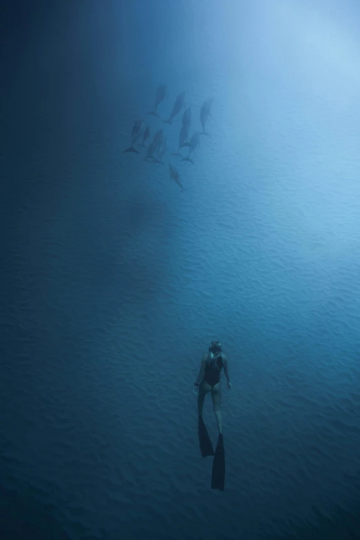 a person swimming in a body of water, inspired by Jean-Léon Gérôme, unsplash contest winner, conceptual art, dolphins and swordfish, national geographic photo award, school of fishes, taken in the late 2010s