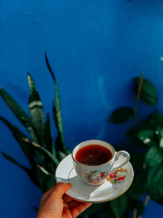 a hand holding a cup of tea in front of a blue wall, by Julia Pishtar, romanticism, amongst foliage, high quality image