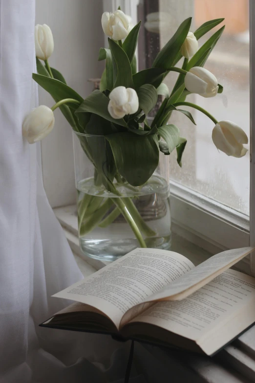 an open book sitting on top of a window sill, inspired by Anna Ancher, romanticism, tulips, all white, soft vinyl, silver，ivory