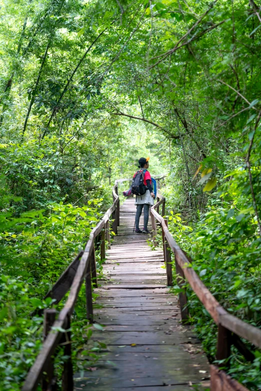 a couple of people walking across a wooden bridge, sumatraism, vibrant greenery outside, angkor thon, trecking, a cozy