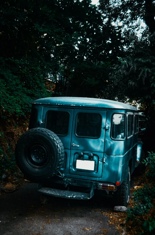 a blue jeep parked on the side of a road, inspired by Elsa Bleda, pexels contest winner, auto-destructive art, in karuizawa, thick jungle, massive wide trunk, vintage aesthetic