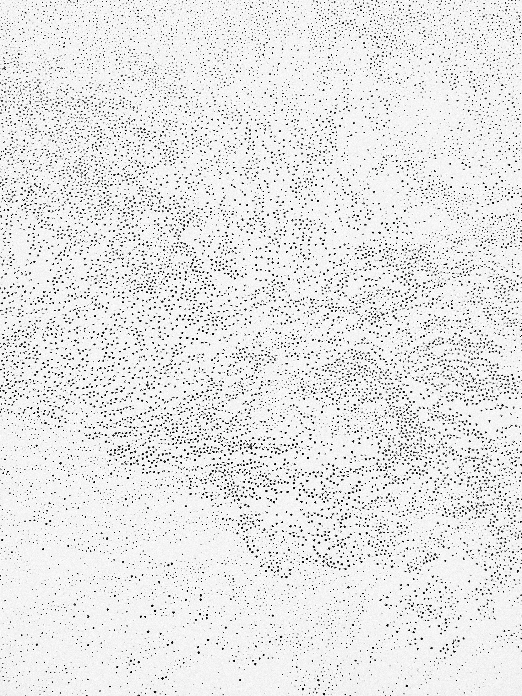 a man riding a snowboard on top of a snow covered slope, a stipple, inspired by Vija Celmins, reddit, kinetic pointillism, ffffound, detail texture, white with black spots, jin kim