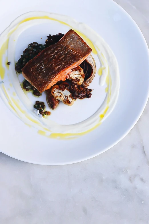 a close up of a plate of food on a table, by Jessie Algie, salmon, “ iron bark, flat lay, raphael lecoste